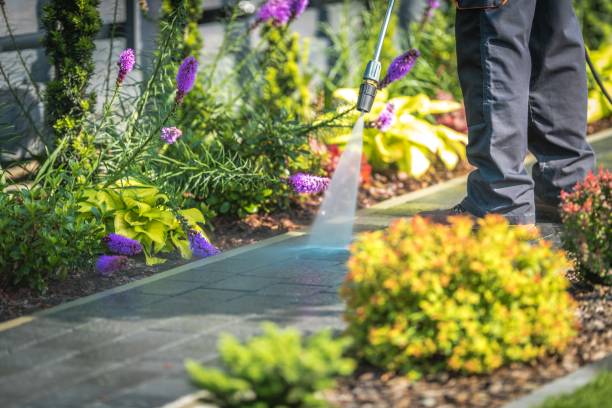 Professional Pressure Washing Services in Port Jefferson, NY